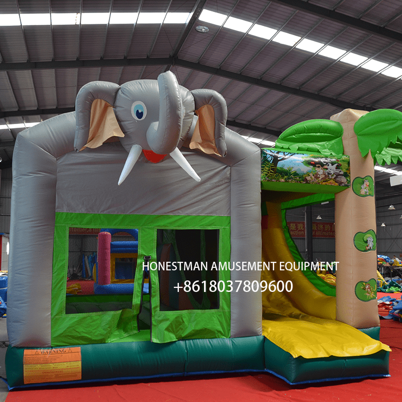 bouncy house bouncy house