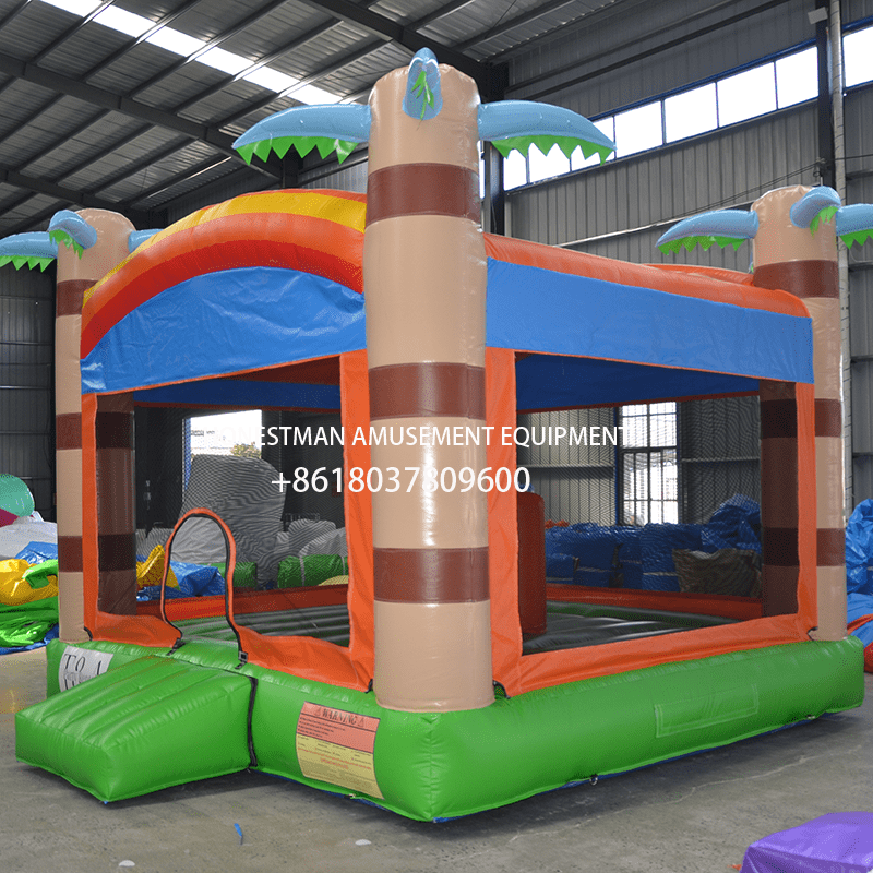 bouncy house bouncy house