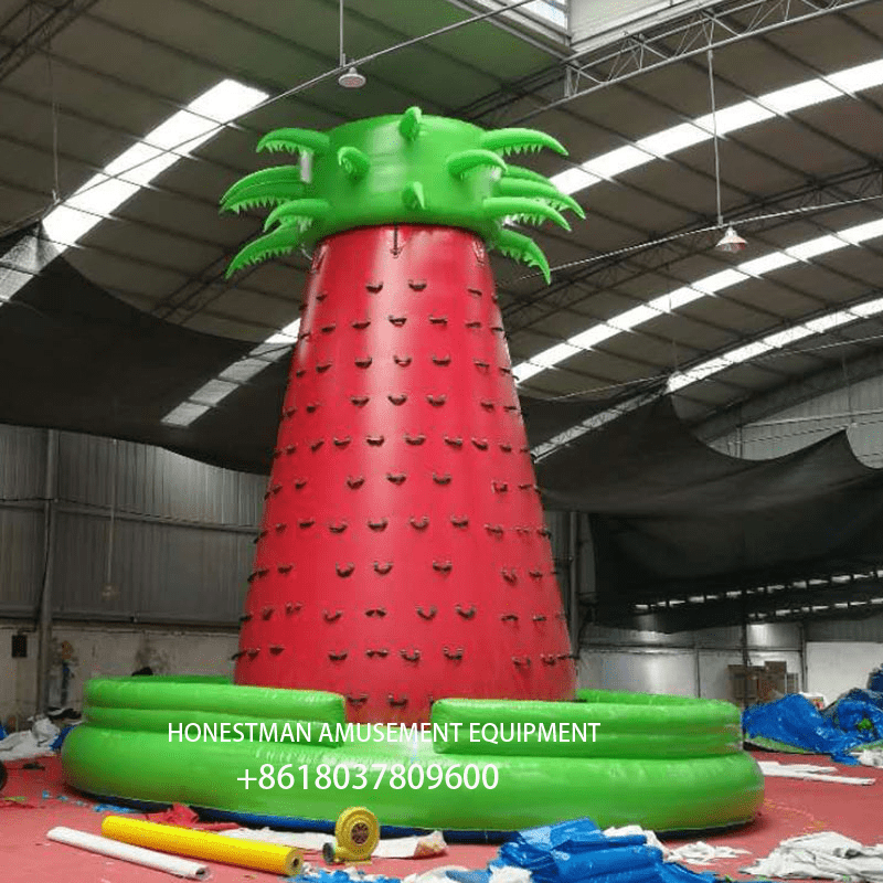 inflatable rock climbing wall